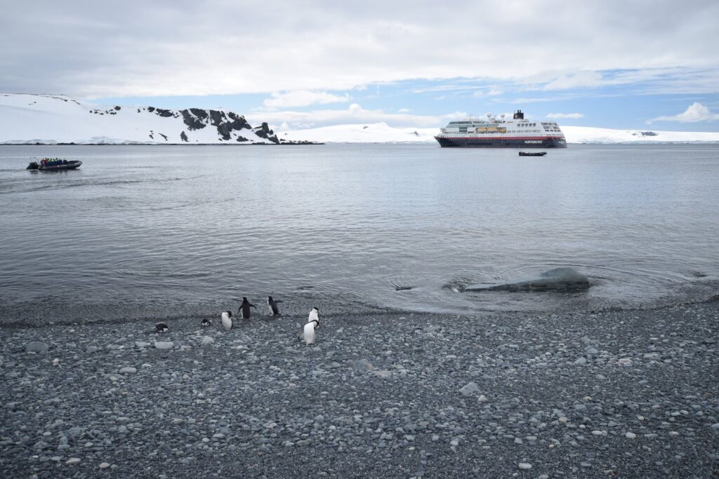 Top Places To Visit To See Penguins In Their Natural Habitat